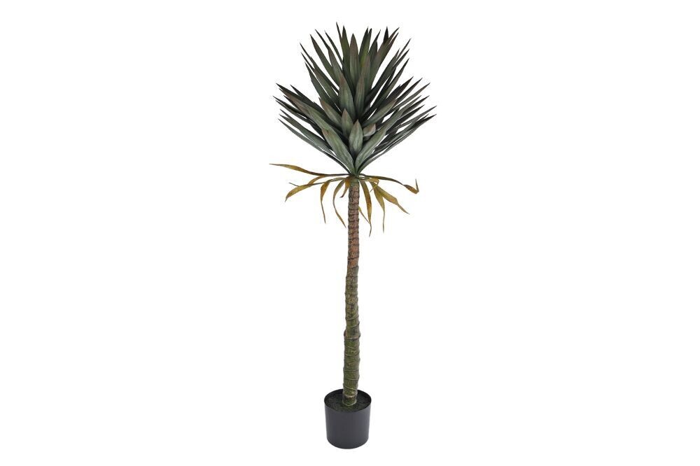Kunstplant Yucca 152cm