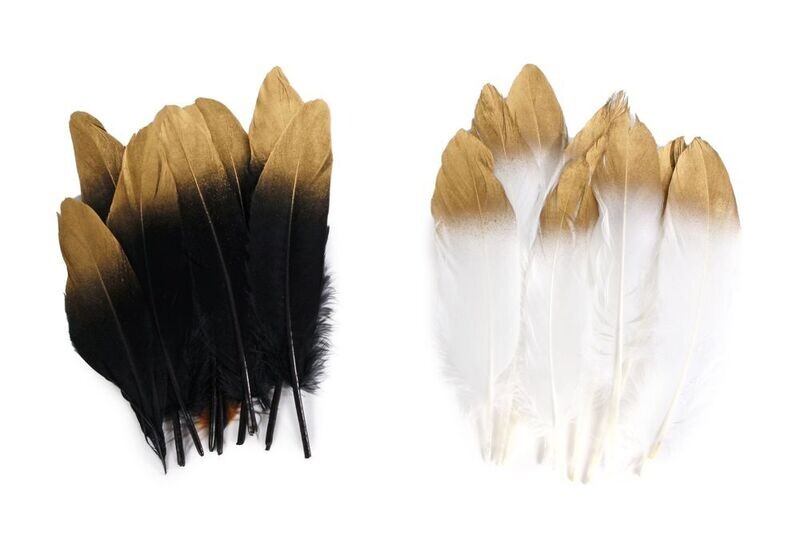 Veren wit/goud zwart/goud L