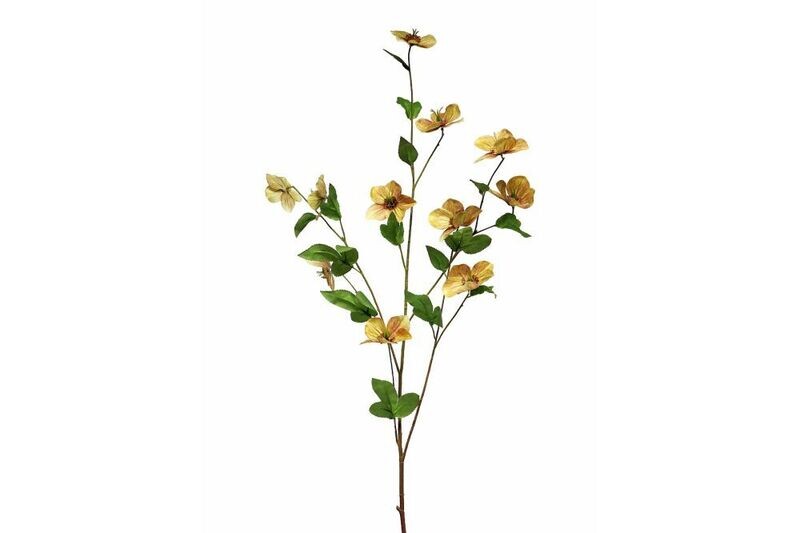 Groen dco Helleborus oud roze 114cm