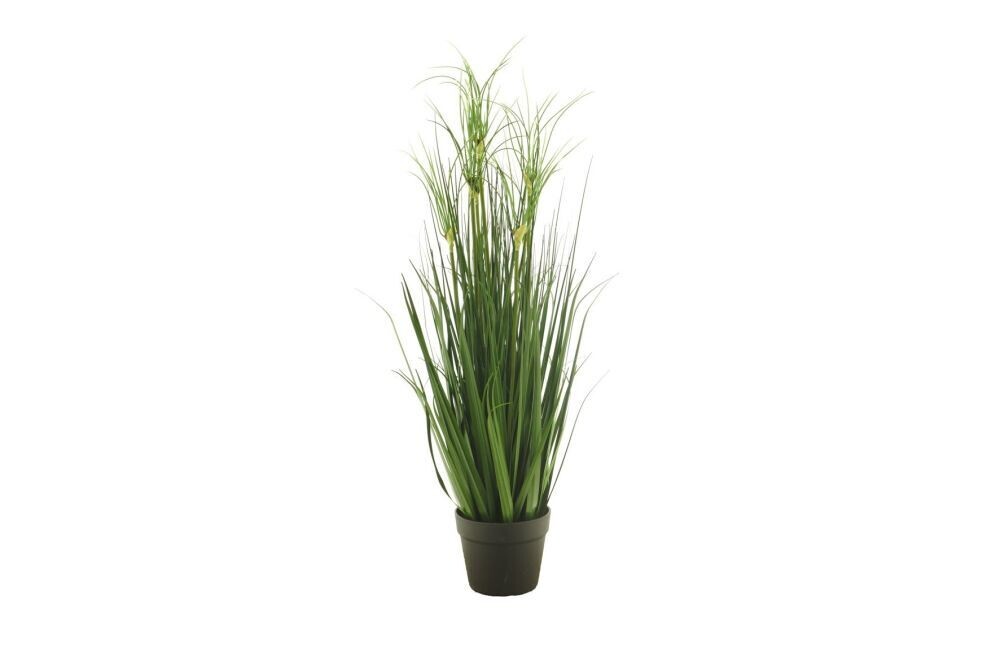 Groen dco GrasMix in pot 89cm