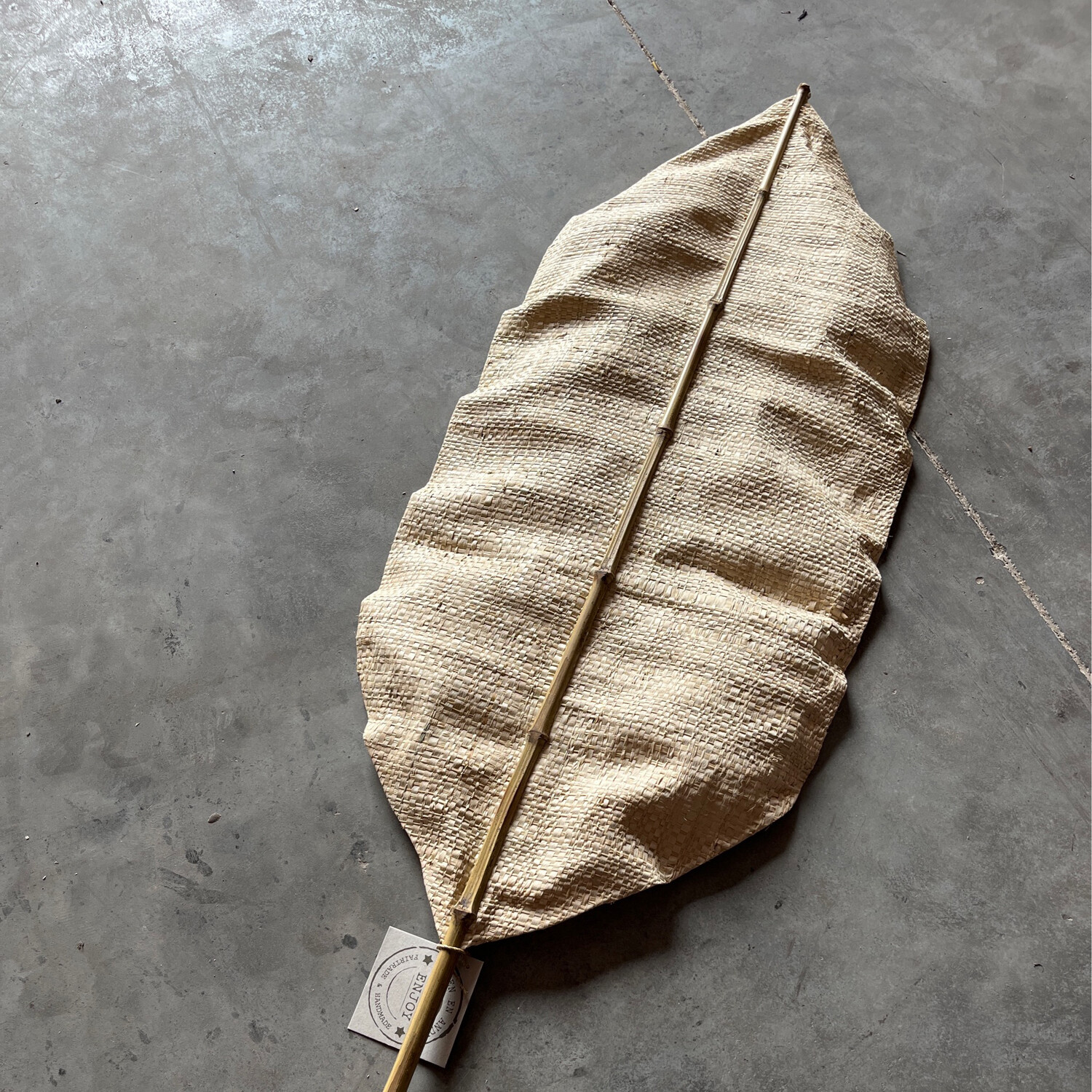 Leaf Tropical