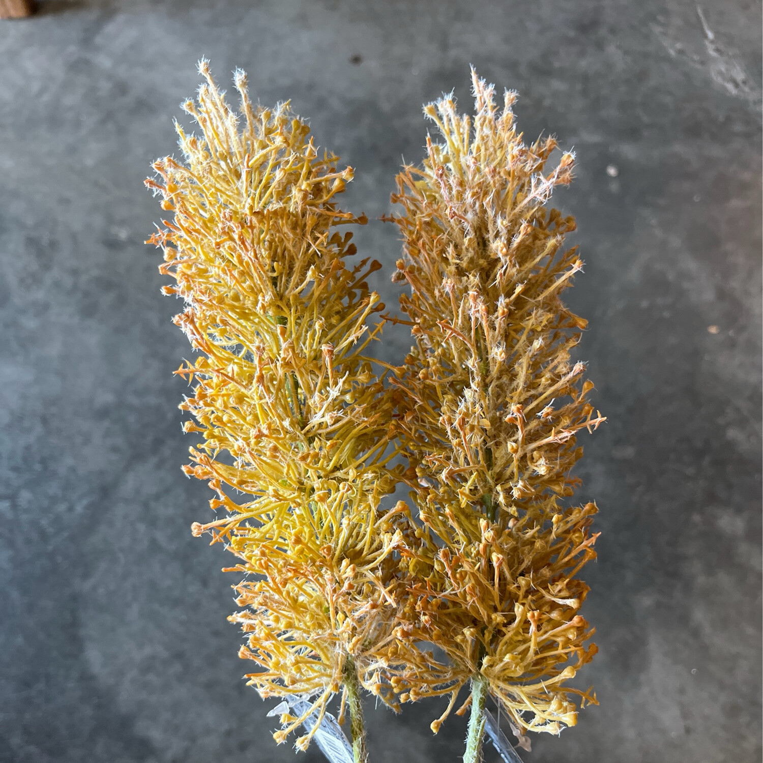 Kunstbloem Giant geel 65cm