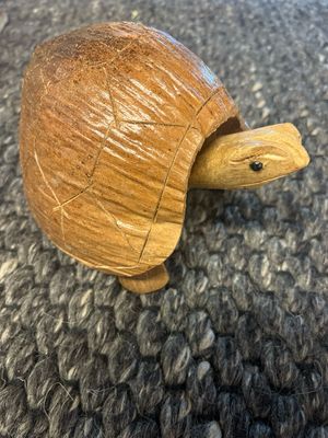 Schildpad kokosnoot bruin