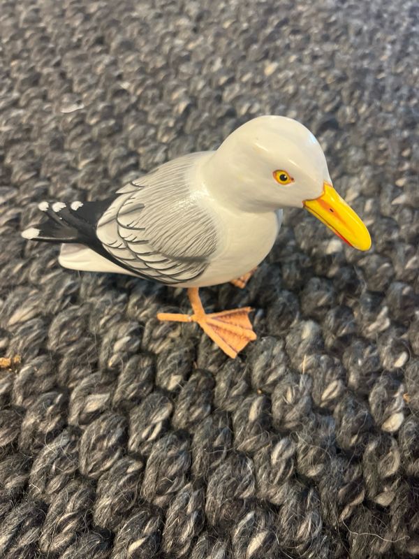 Meeuw op pootjes S