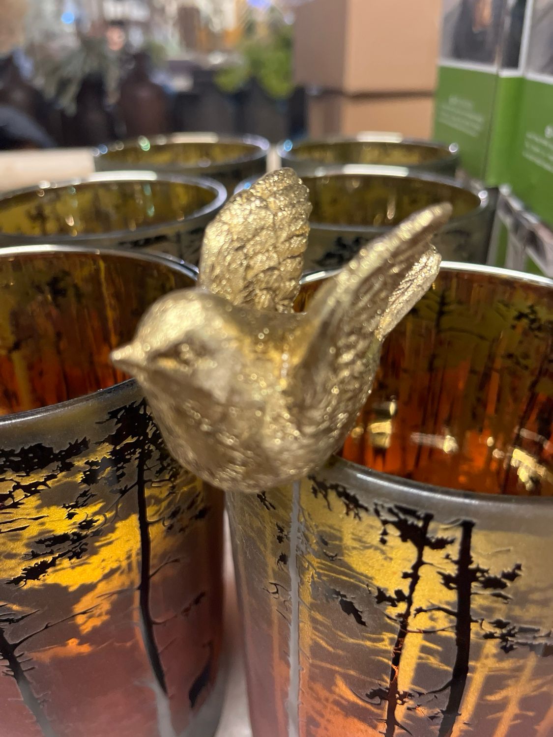 Opzet vogel vleugels