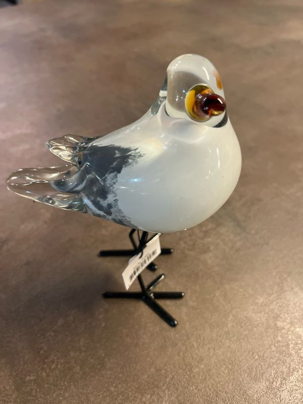 Vogel meeuw glas op voet