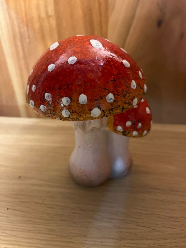 Sculptuur paddenstoelen