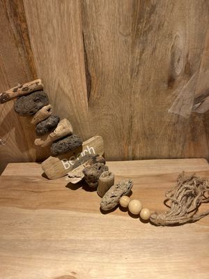 Hanger Beach driftwood