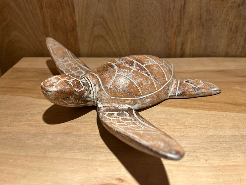 Schildpad M naturel