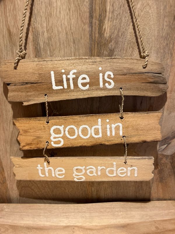 TB driftwood Life is good in the garden