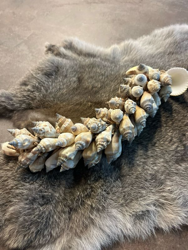 Guirlande schelpen