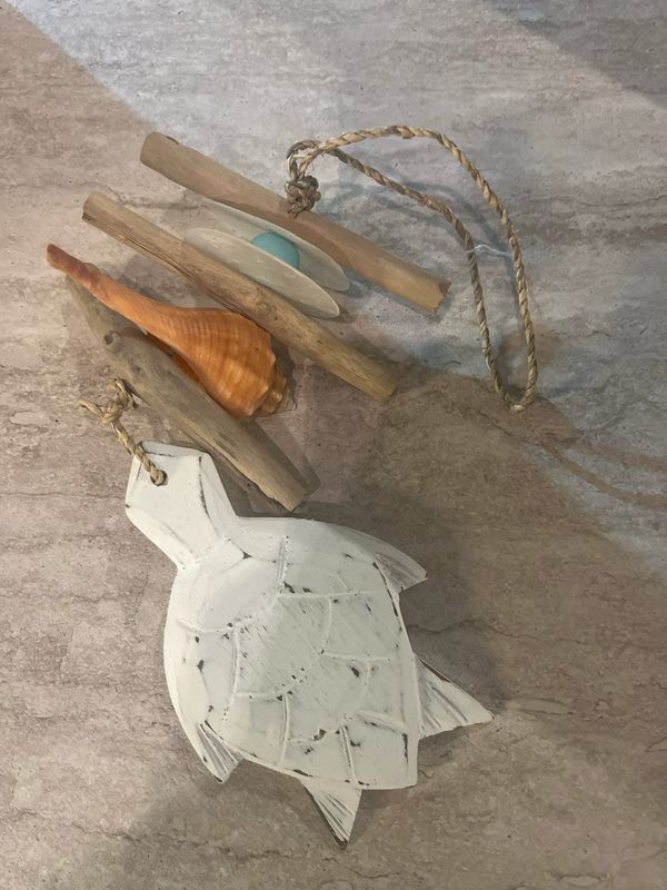 Hanger schildpad