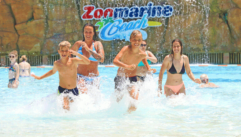 ZOOMARINE | 10 de AGO