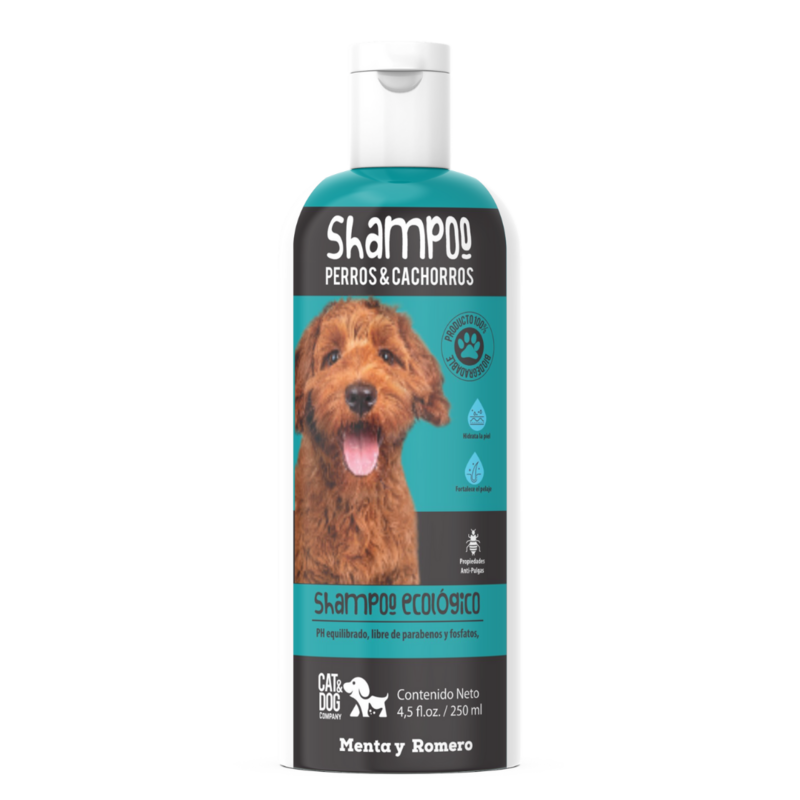 Shampoo Menta