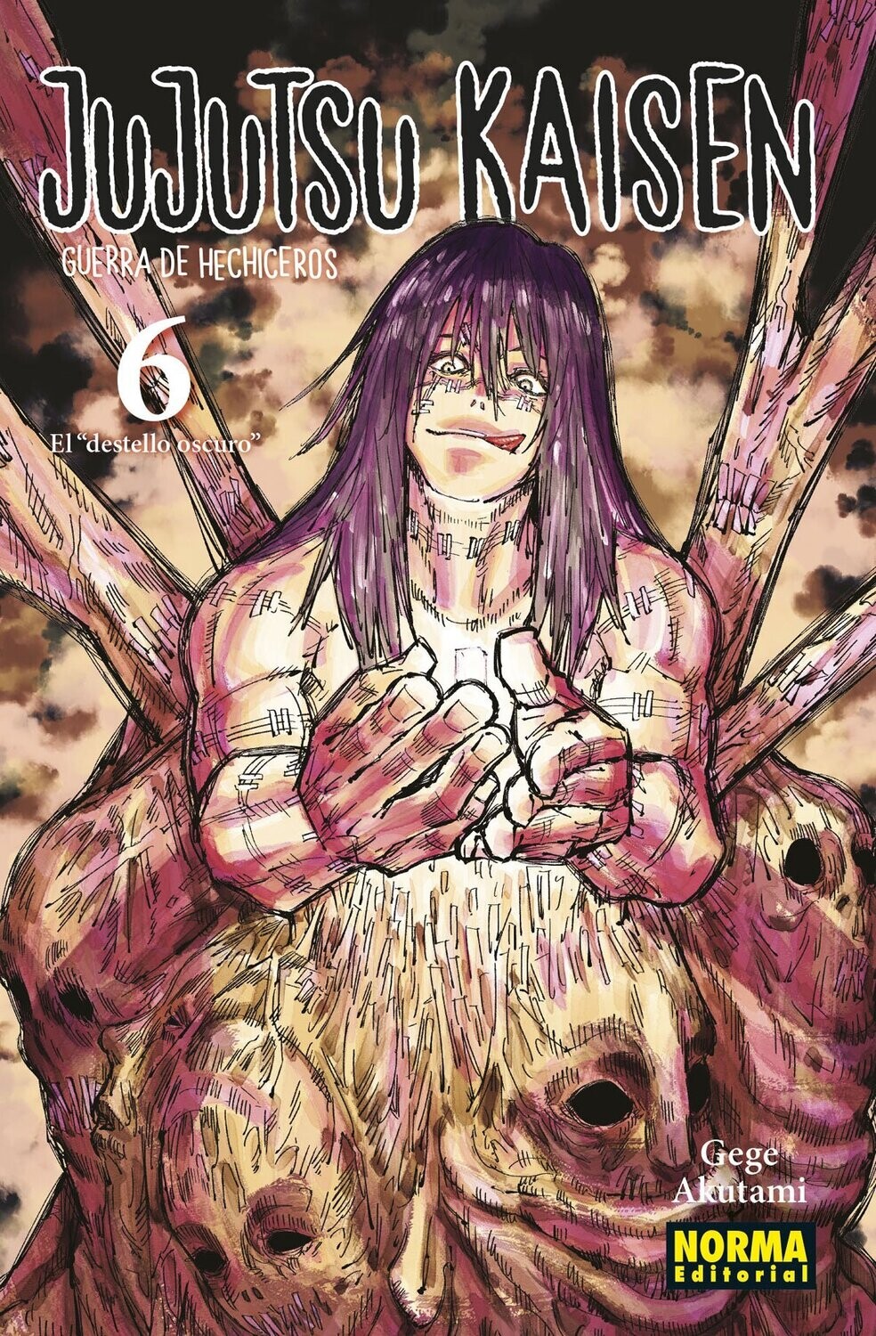 Jujutsu Kaisen N° 6 - HANDMADE -