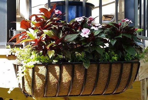 Coco Liners for Window Box Hayracks