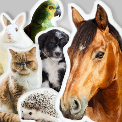 ​Custom Pet Pillow, Personalized photo gift Custom Shape Cushion