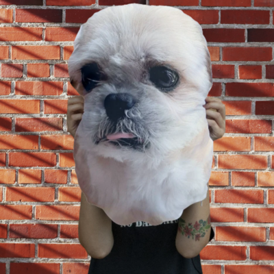 Personalized Pet Face Photo Giant Cushion Great Gift Idea