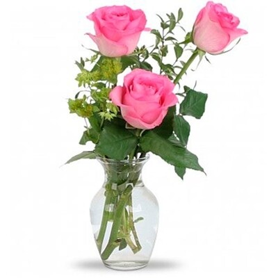 3 Rose Rosa