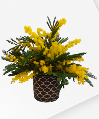vasetto ceramica decorata con mimosa