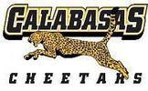 Calabasas Cheetahs Hoodies Store