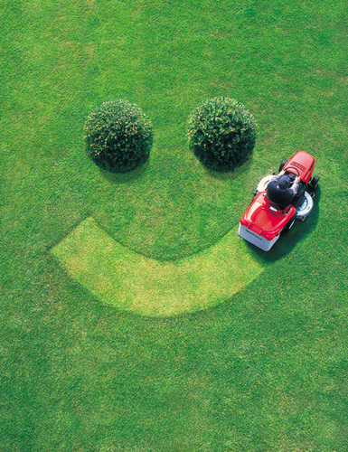 MOW & GO Lawn Mowing Service MOW & GO Lawn Mowing Service