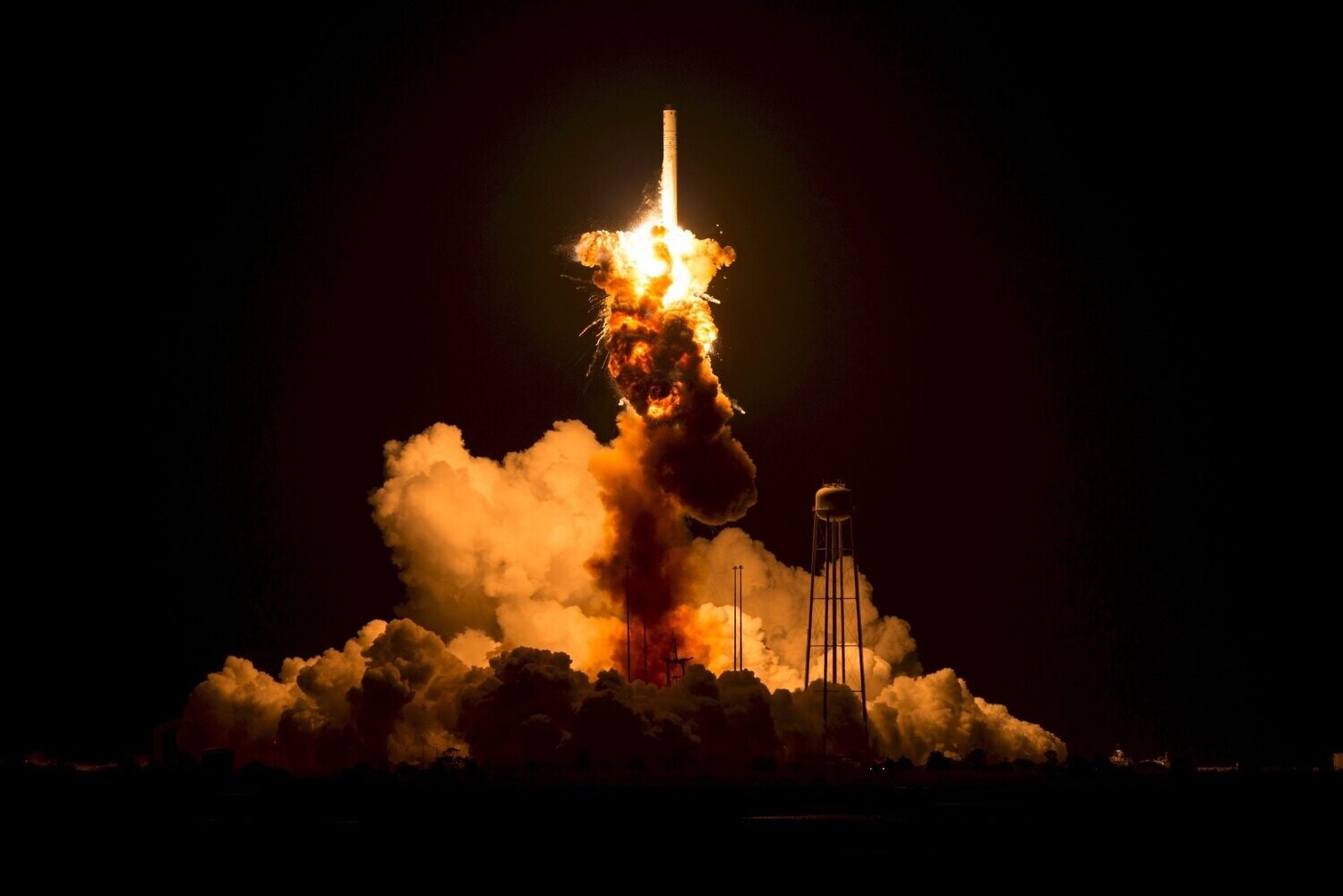 Elite Website Set-Up Package