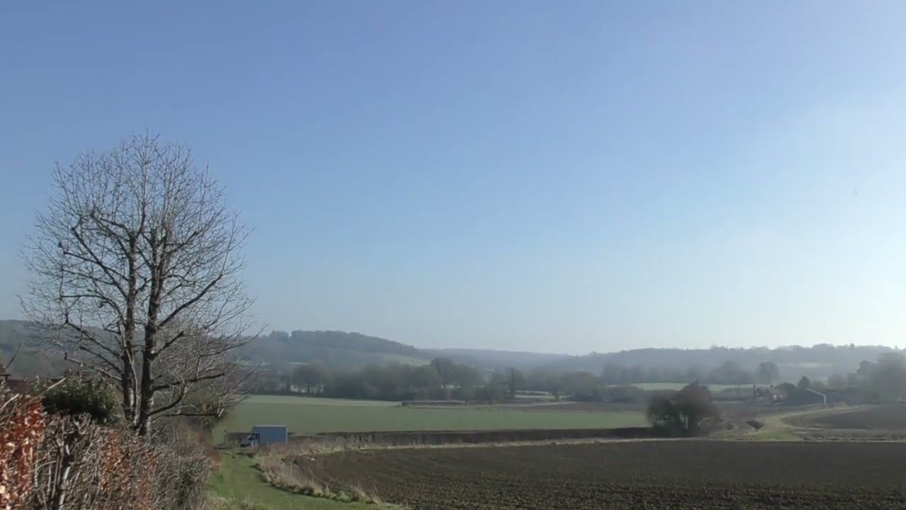 C76 ZX1 Pin Oiler 50ml