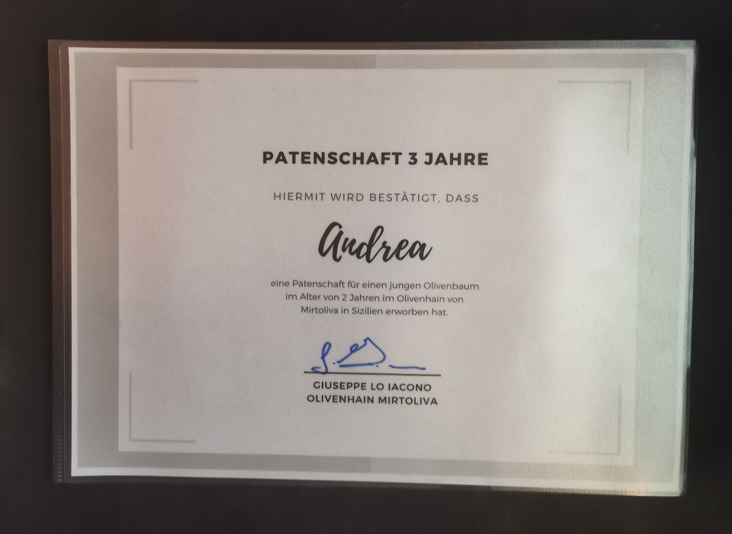 Patenschaft Olivenbaum (Dauer 3 Jahre)