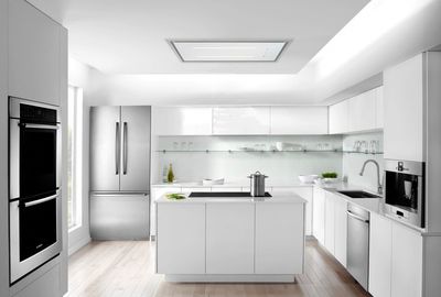 Wall Hoods and Ceiling Extractors
