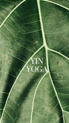 Yin Yoga Kurs
