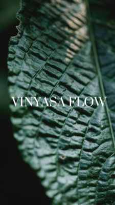 Vinyasa Flow Kurs