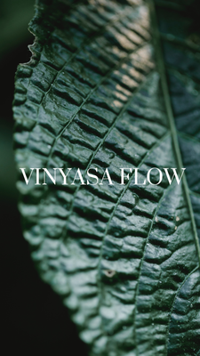 Vinyasa Flow Einzelstunde