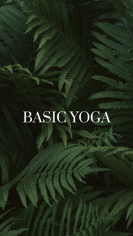 Basic Yoga Kurs