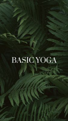 Basic Yoga Einzelstunden