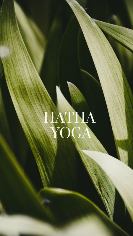 Hatha Yoga Einzelstunde