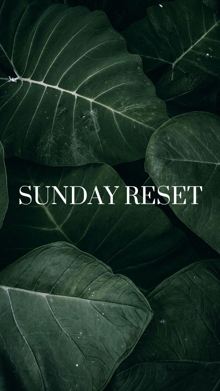 Sunday Reset Kurs