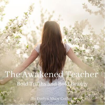 The Awakened Teacher: Bold Truths and Bold Beauty (Kindle Edition)