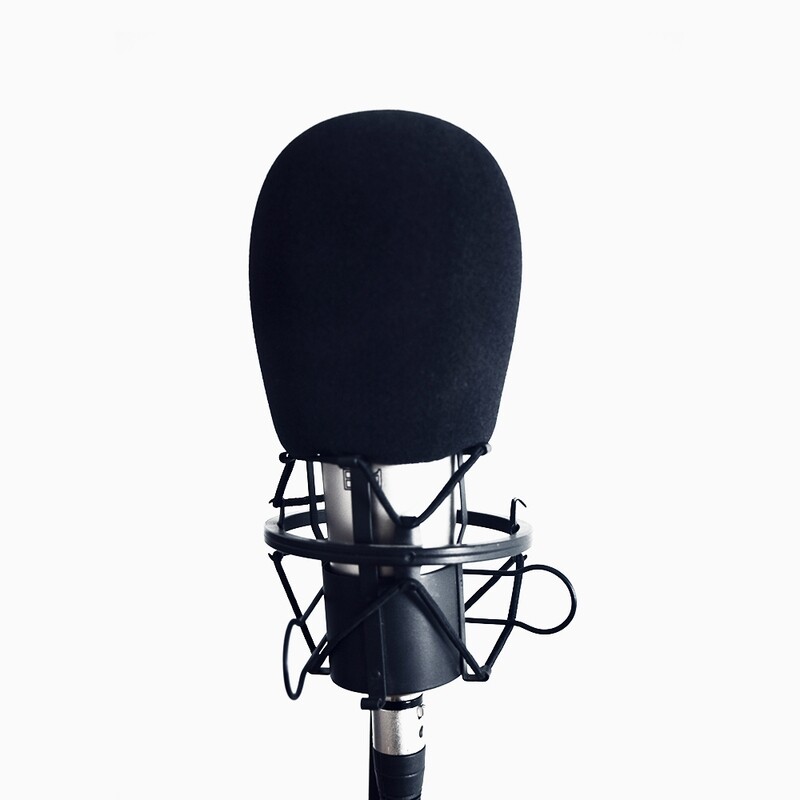 Studio Mic