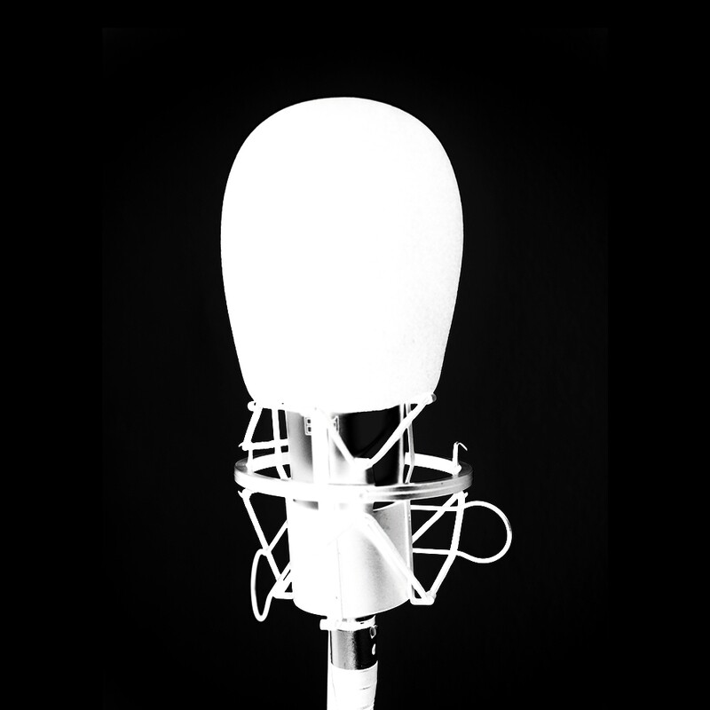 Studio Mic