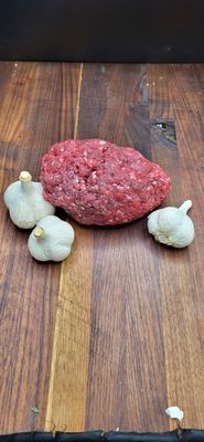 Ground bison