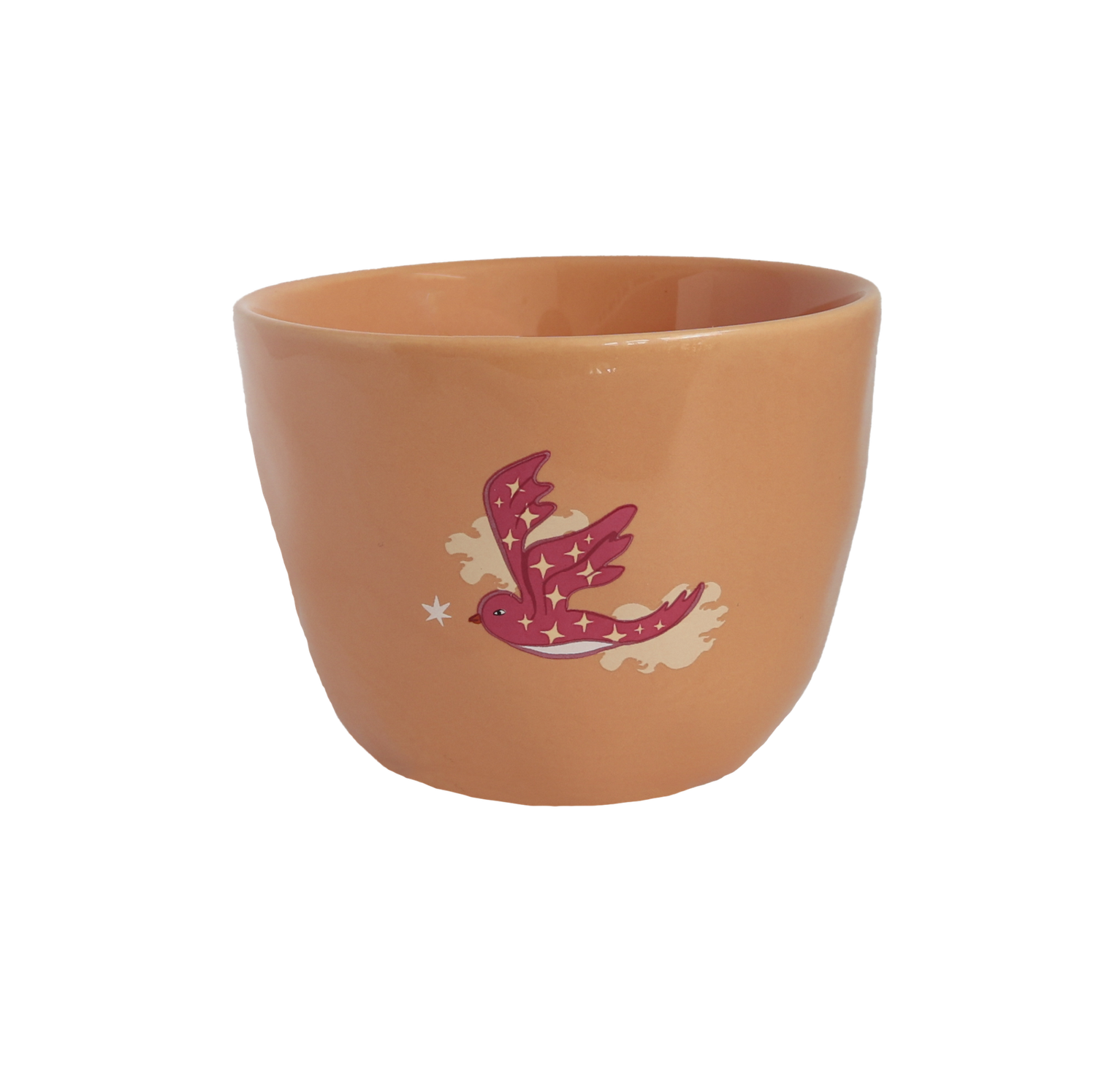 All the Luck in the World mok vogel