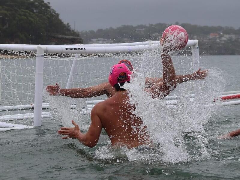 Adult Water Polo Goal