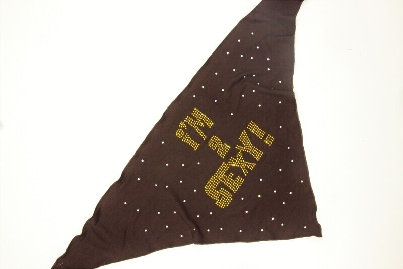 The Bandana: I&#39;m 2 Sexy! F.W.