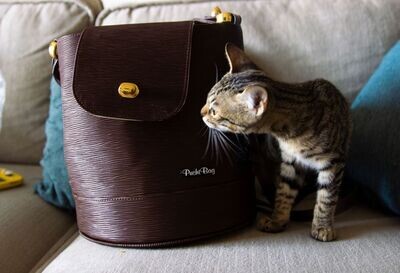 The Chouie Vuitton Collection: Pied-A-Terre: Hershey Kyss:  F.W.