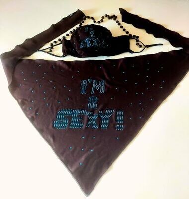Mask &amp; Bandana Combo: I&#39;m 2 Sexy-Turquoise