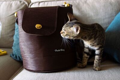 The Chouie Vuitton Collection