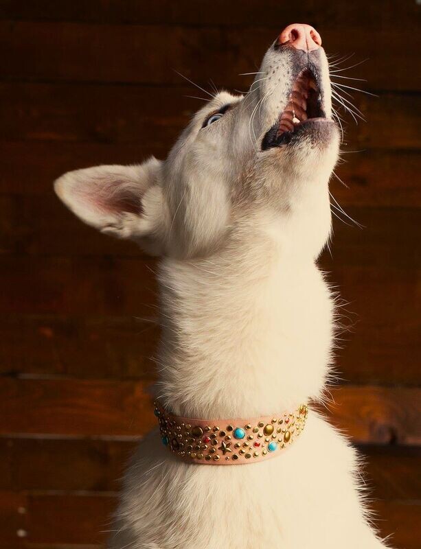 Pynk Studded Choker &amp; Cuff: For People! FW