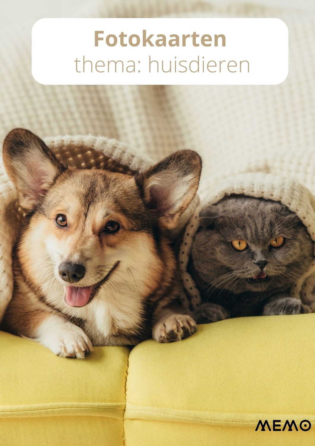 Fotokaarten - thema: huisdieren