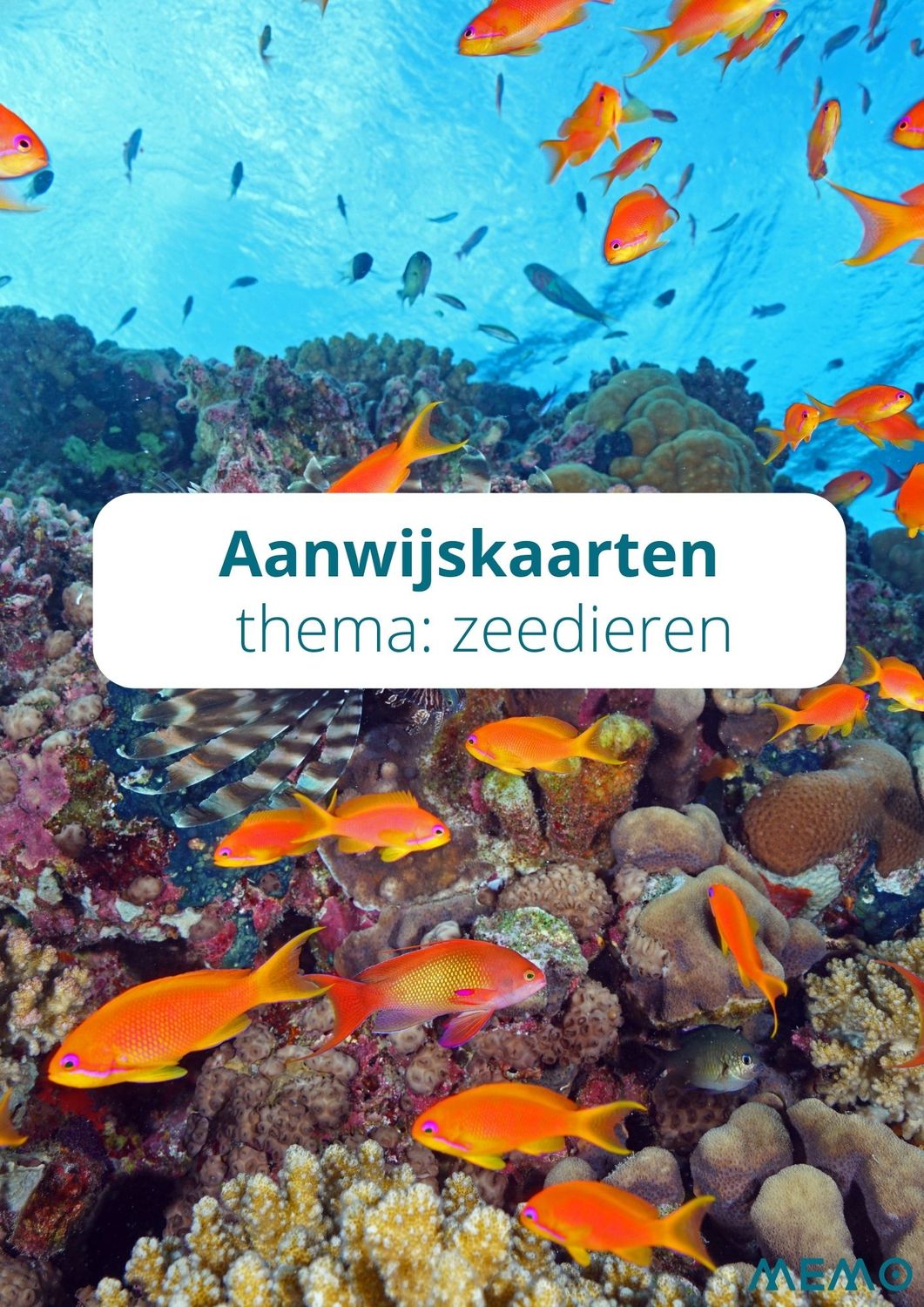 aanwijskaarten - thema: de zeedieren